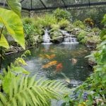 About Florida Water Gardens in Orlando, Florida