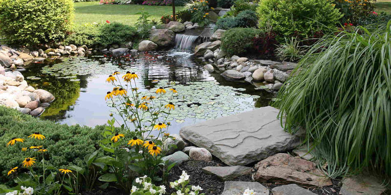 Koi Pond Design in Orlando, Florida