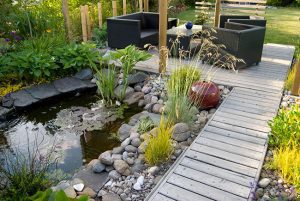 Why Choose a Custom Pond with Pond Filtration System?