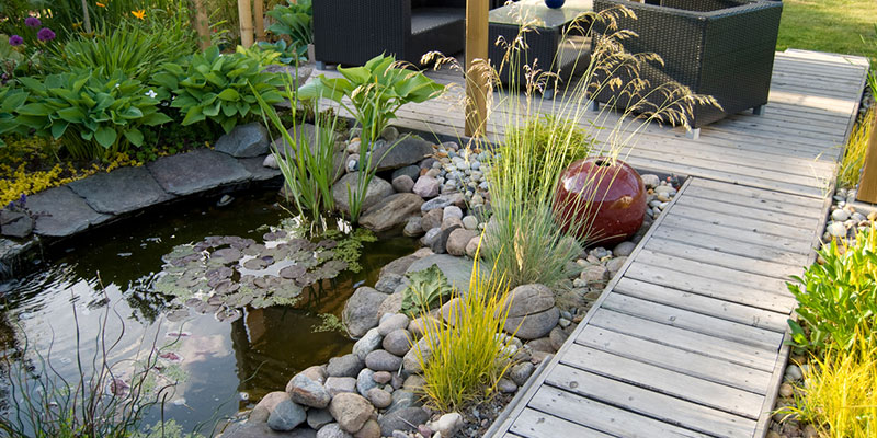 Why Choose a Custom Pond with Pond Filtration System?